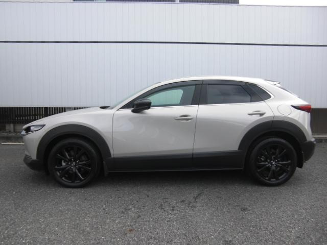 CX-302.0 20S