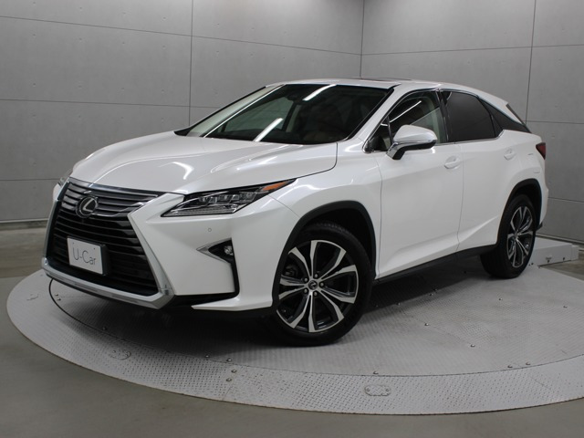 RX300 バージョンL