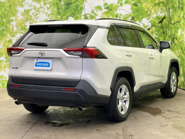 RAV42.0 X