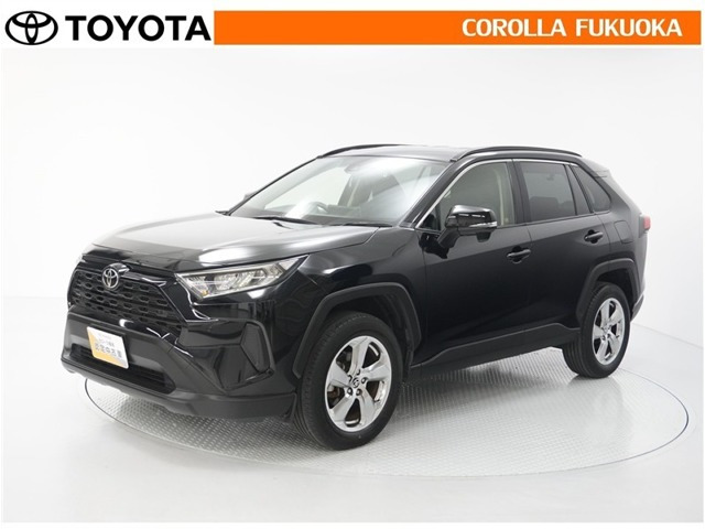 RAV42.0 X