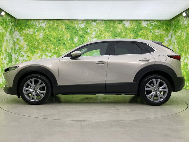 CX-302.0 20S プロアクティブ