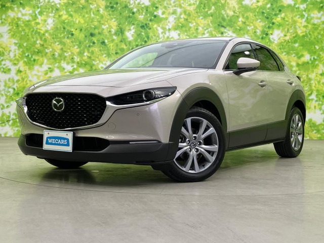 CX-302.0 20S プロアクティブ