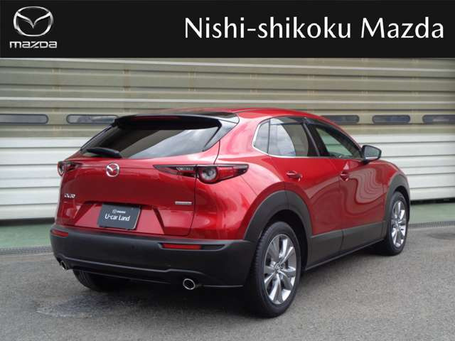 CX-301.8 XD Lパッケージ