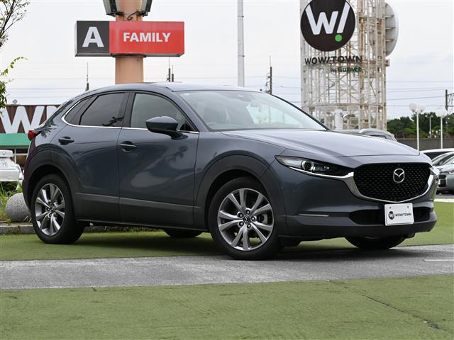 CX-302.0 20S プロアクティブ