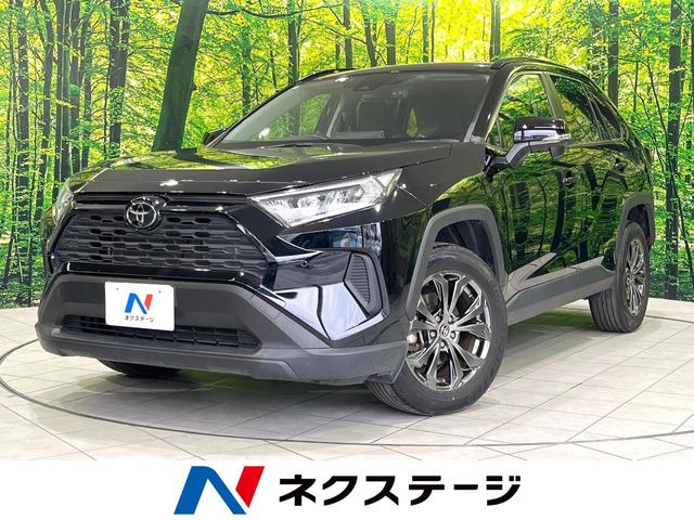 RAV42.0 X