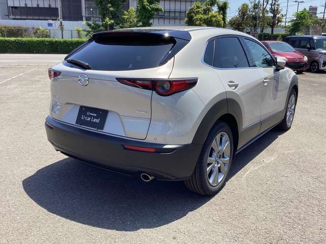 CX-302.0 20S プロアクティブ