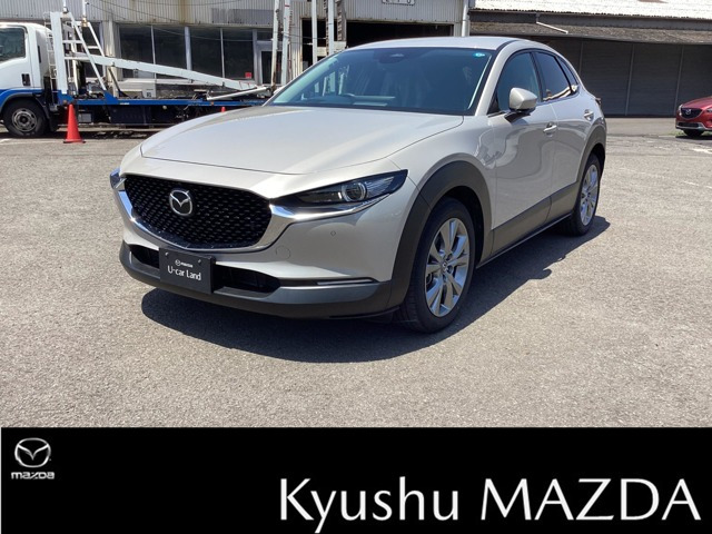 CX-302.0 20S プロアクティブ