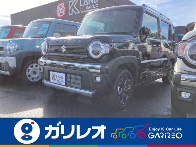 ハスラータフワイルド