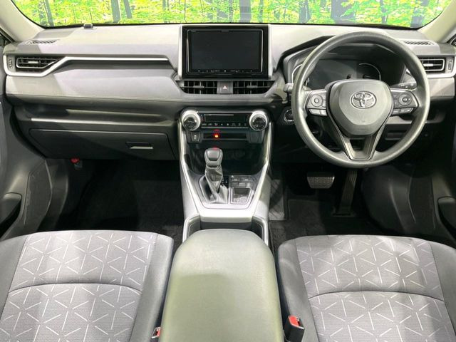 RAV42.0 X