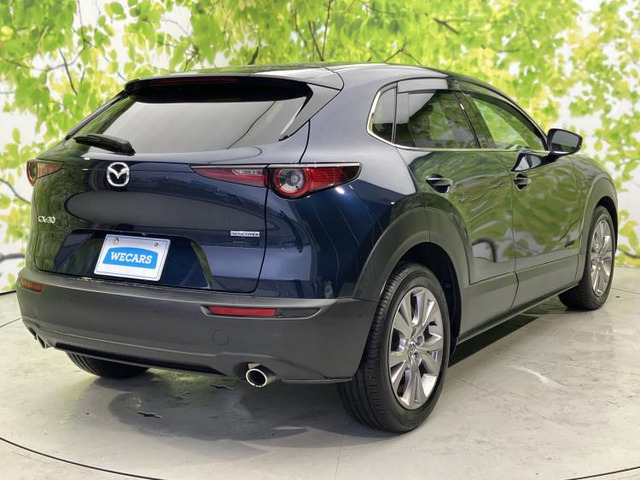 CX-301.8 XD Lパッケージ