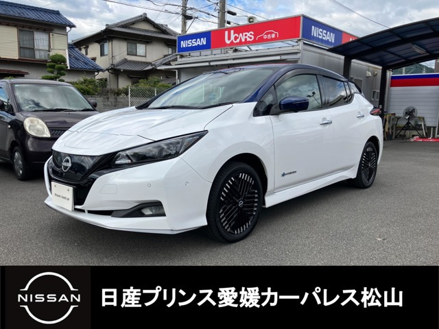 リーフe+ G