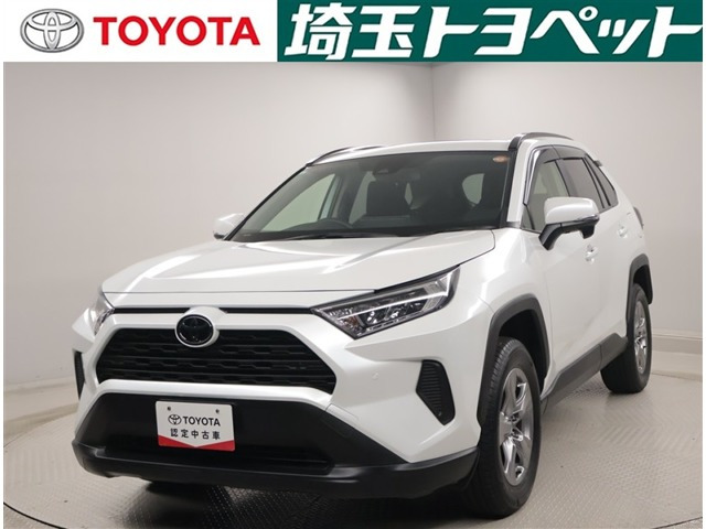 RAV42.0 X