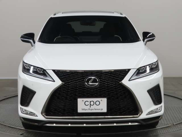 RX300 Fスポーツ