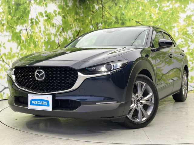 CX-301.8 XD Lパッケージ