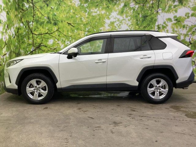 RAV42.0 X