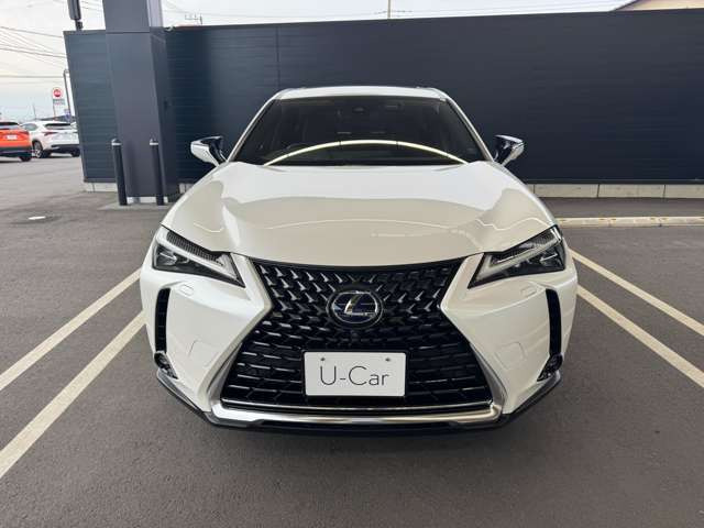 UX250h バージョンL