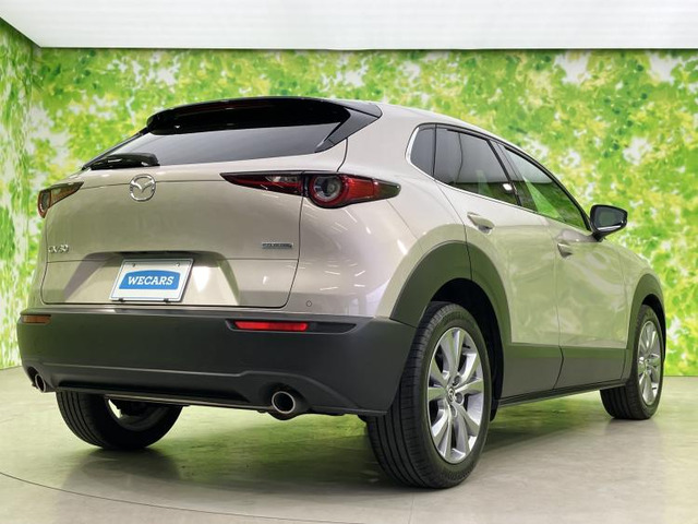 CX-302.0 20S プロアクティブ