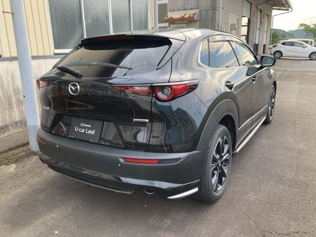 CX-302.0 20S