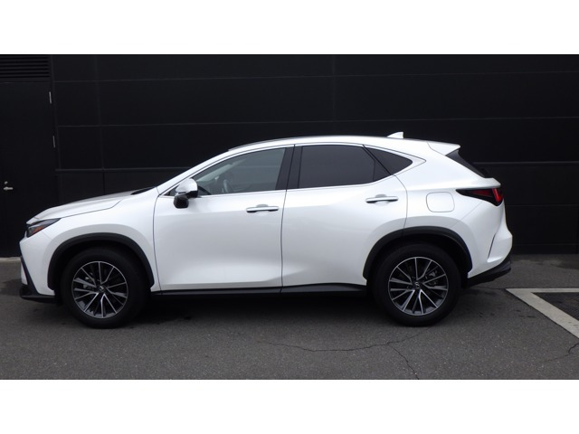 NX