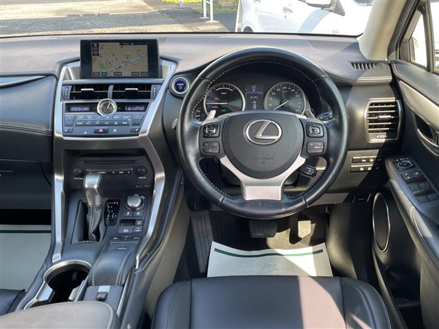 NX300h Iパッケージ