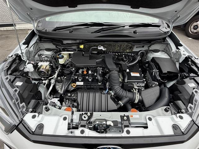 ライズハイブリッド 1.2 Z