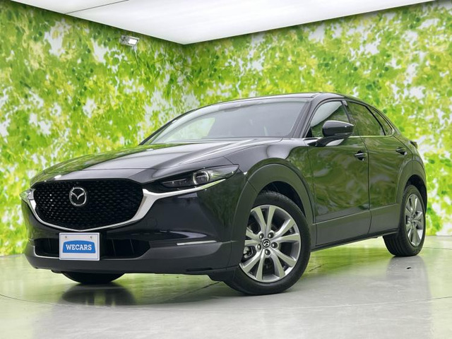 CX-301.8 XD プロアクティブ ツーリングセレクション