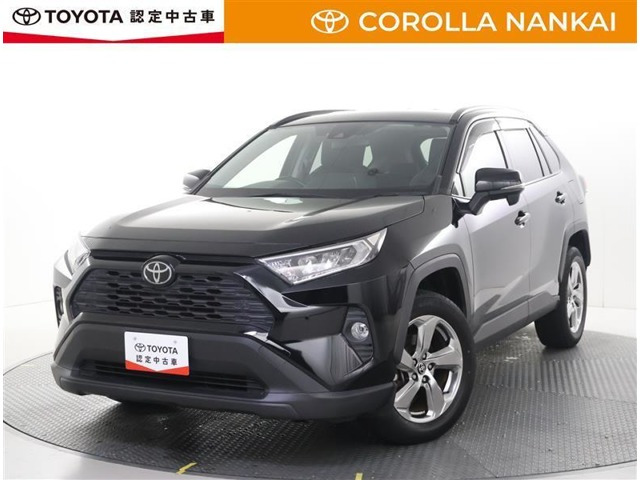 RAV42.0 X