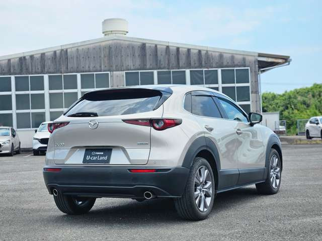 CX-302.0 20S プロアクティブ