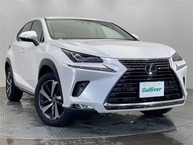 NX300h Iパッケージ
