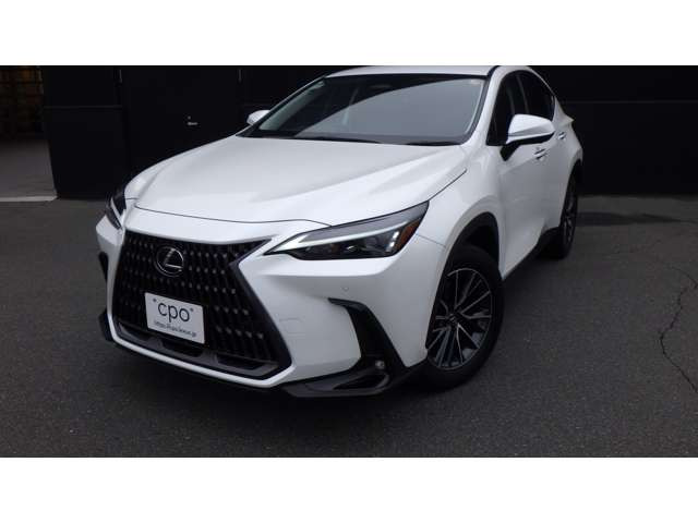 NX