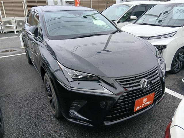 NX300 ブロンズ エディション