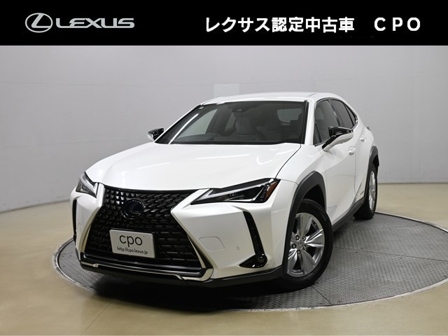 UX250h バージョンC