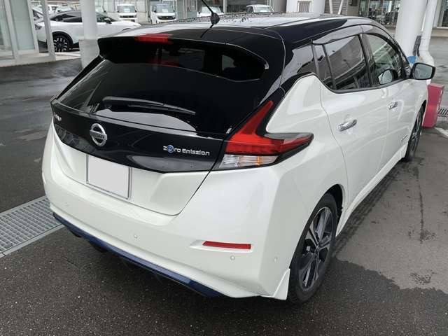 リーフG