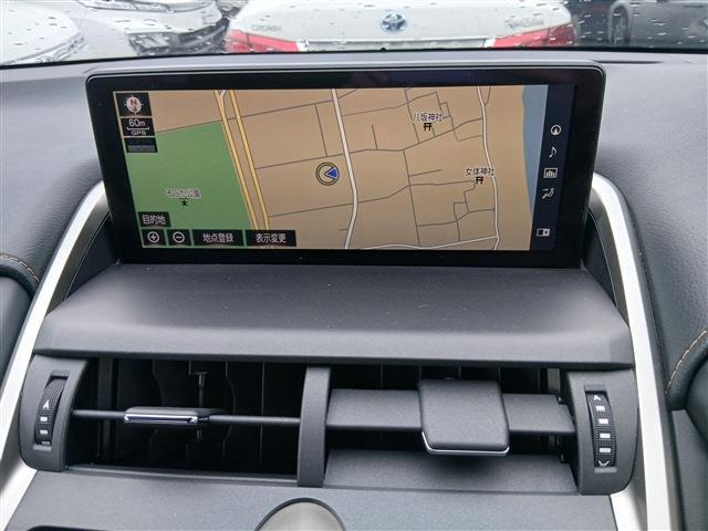 NX300 ブロンズ エディション