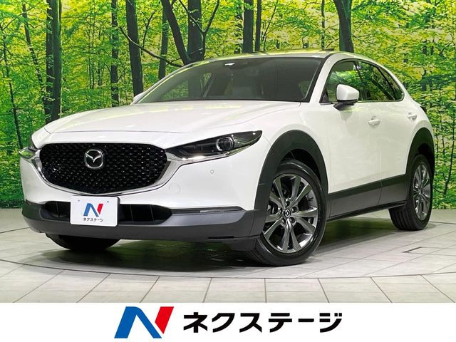 CX-302.0 X Lパッケージ
