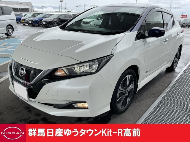 リーフG