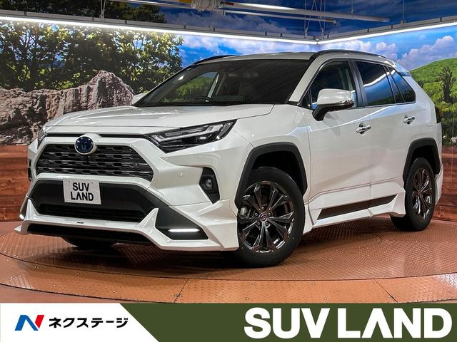 RAV42.5 ハイブリッド G E-Four 4WD
