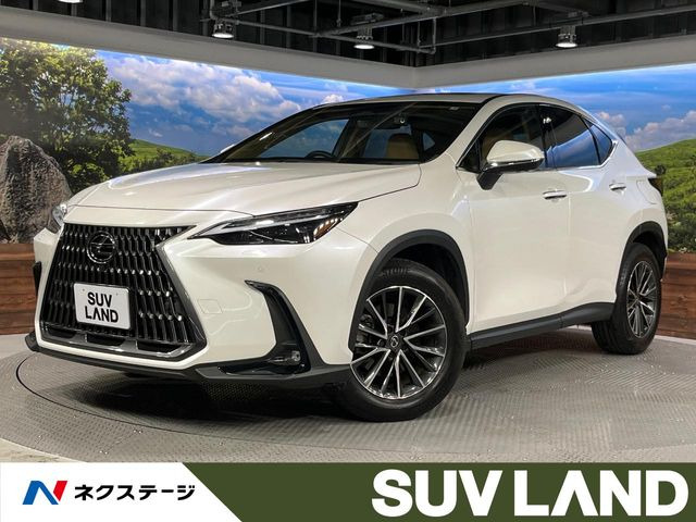 NX250 バージョンL