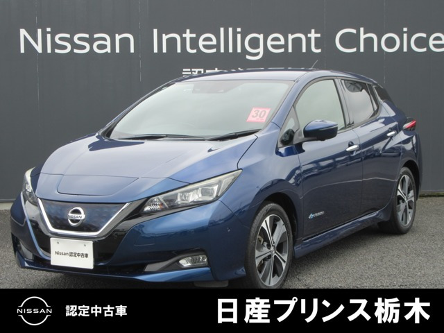 リーフG