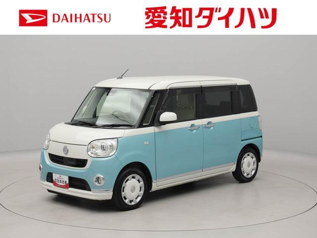 ムーヴキャンバスG メイクアップ SAII