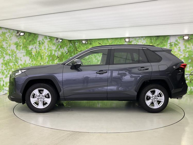 RAV42.0 X