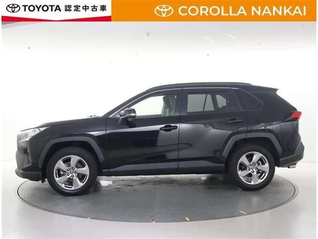 RAV42.0 X