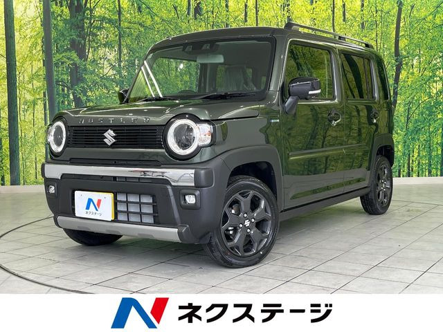 ハスラータフワイルド