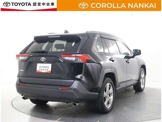 RAV42.0 X