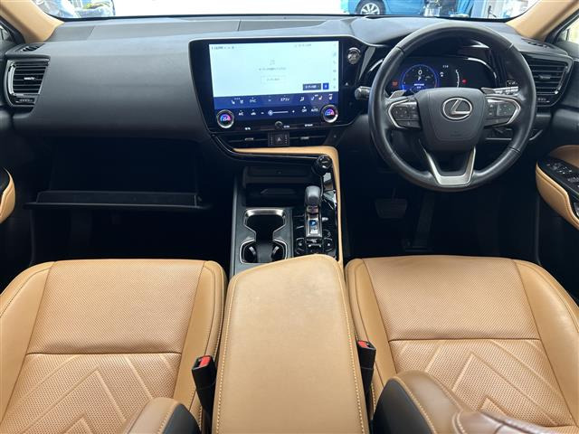 NX250 バージョンL