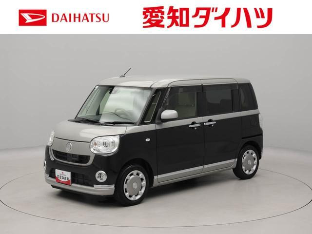ムーヴキャンバスG メイクアップ SAII