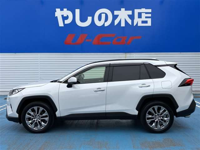 RAV4