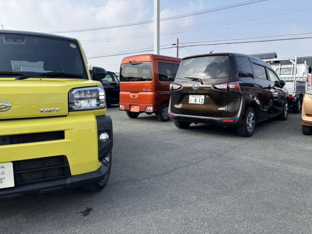 タフトG