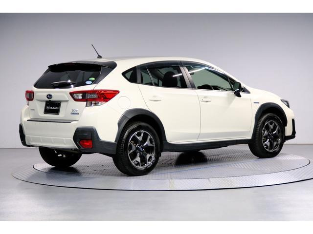XV