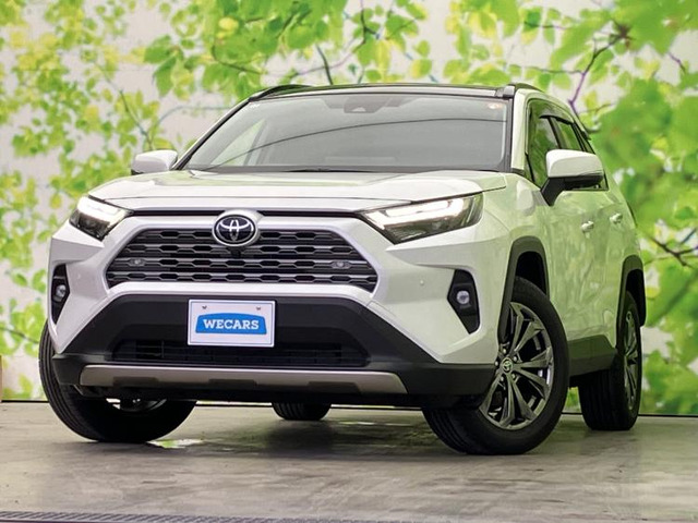 RAV42.5 ハイブリッド G E-Four 4WD
